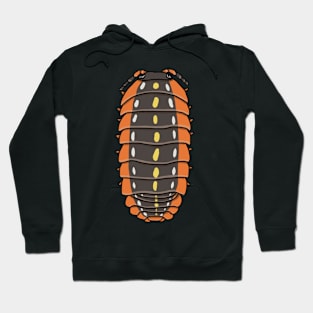 Armadillidium klugii Hoodie